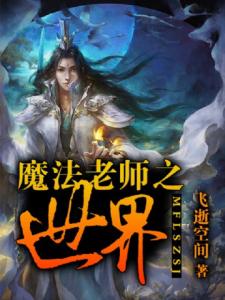 魔法老师之世界