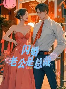 闪婚老公是总裁