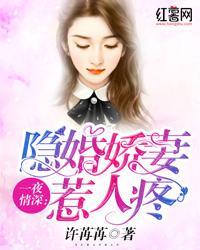 一夜情深：隐婚娇妻惹人疼