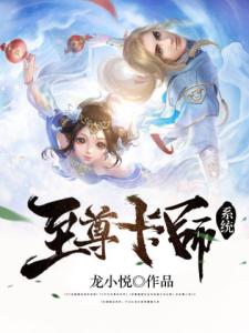 至尊卡师系统