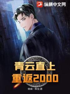 青云直上：重返2000