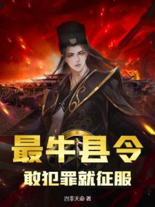 最牛县令：敢犯罪就征服