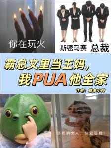 霸总文里当王妈，我PUA他全家